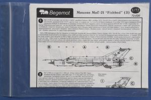 Mig-21 Fishbed (3)