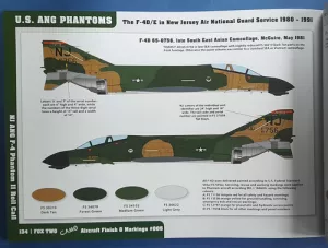 U.S. ANG Phantoms Fox Two